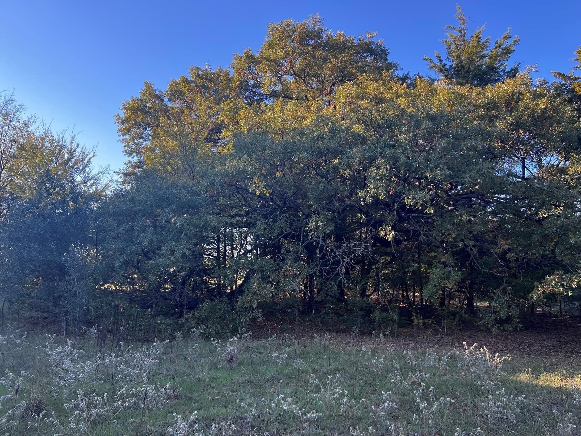 77.23 acres in Fannin County - photo 19