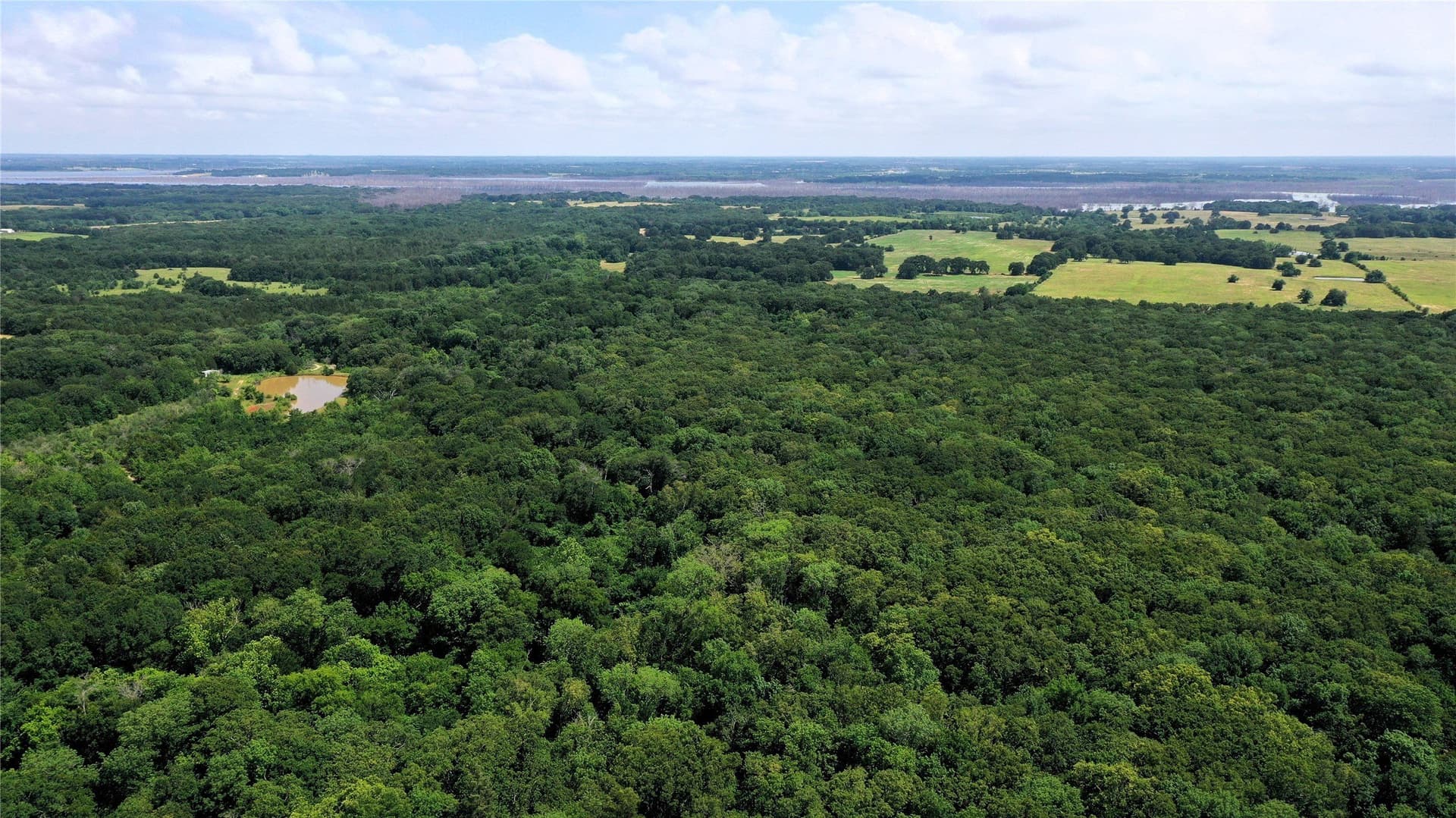77.23 acres in Fannin County - photo 6