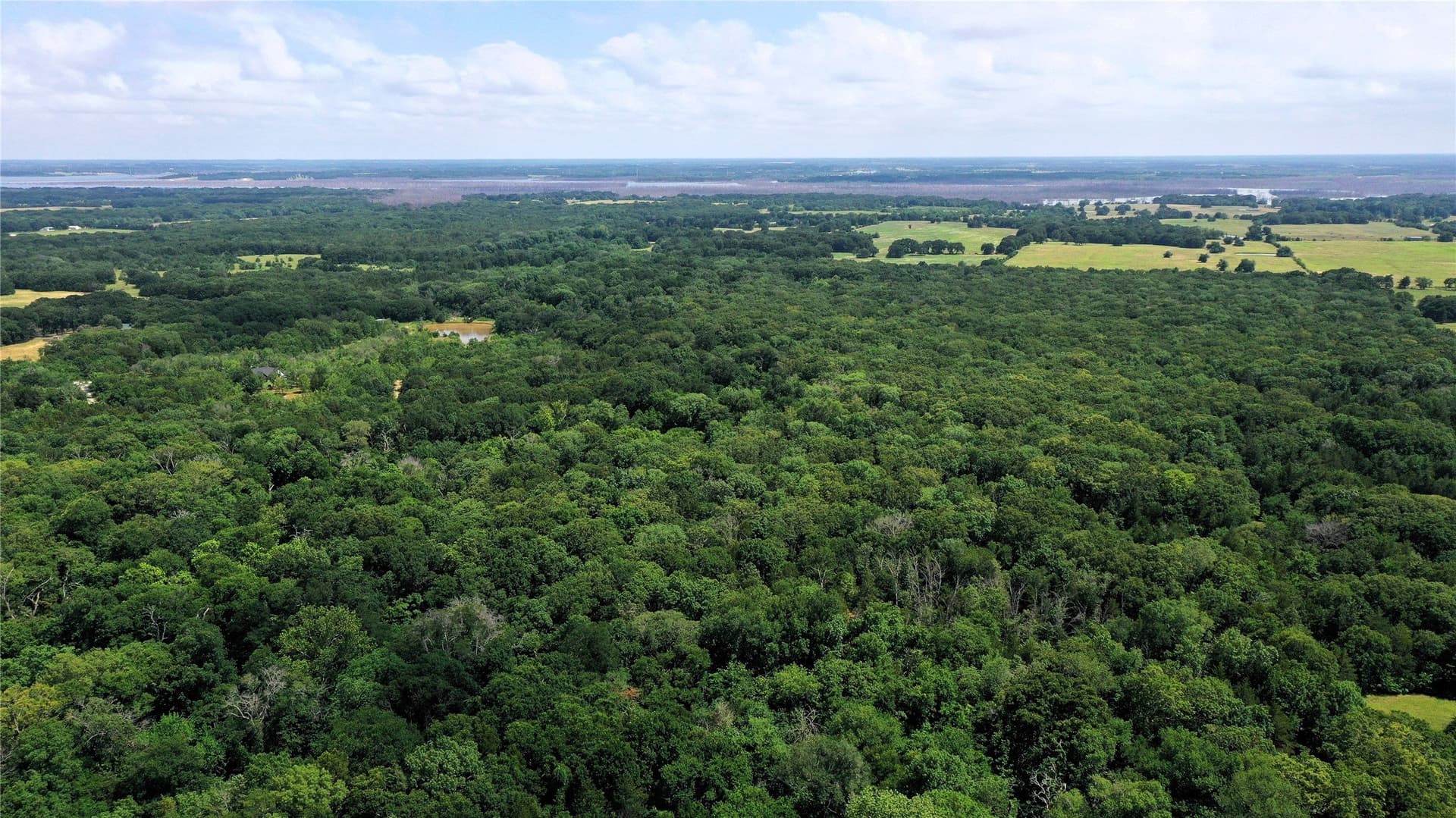 77.23 acres in Fannin County featured view
