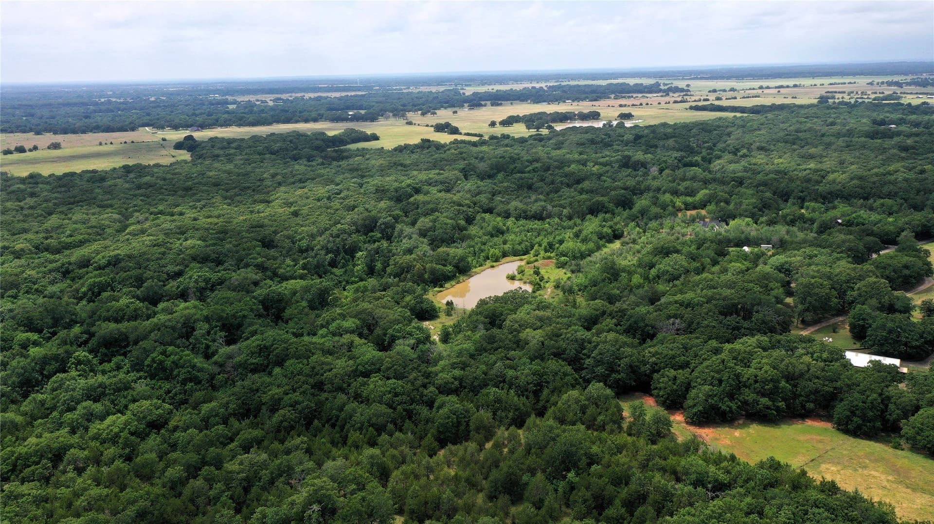 77.23 acres in Fannin County