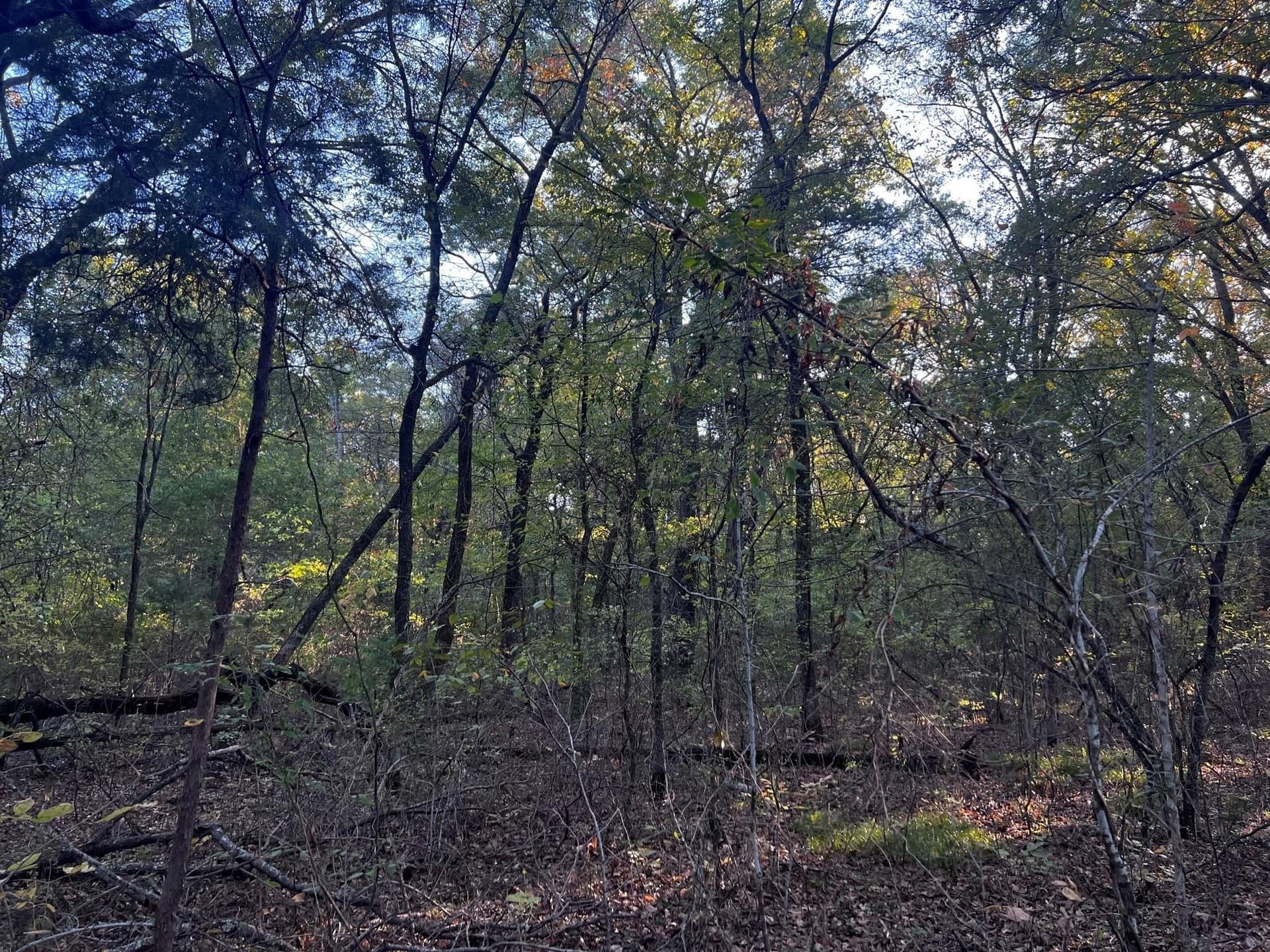 77.23 acres in Fannin County - photo 21