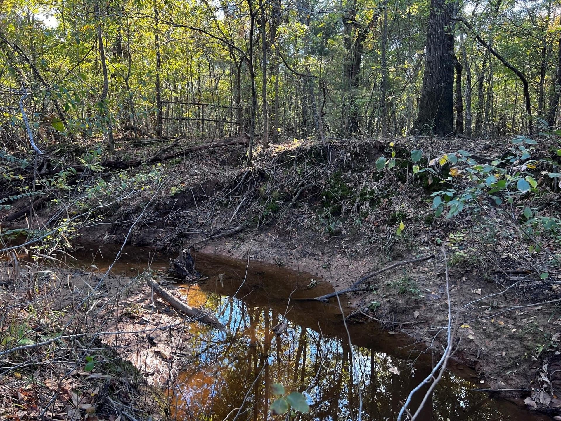 77.23 acres in Fannin County - photo 24