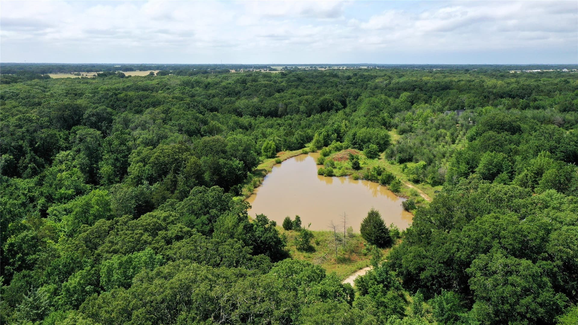 77.23 acres in Fannin County - photo 12