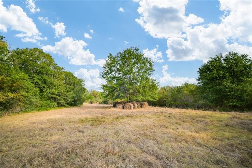 10.13 acres in Grimes County featured view