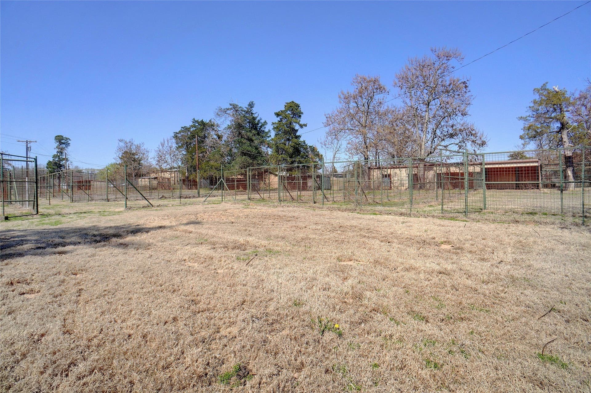 53.65 acres in Titus County - photo 15