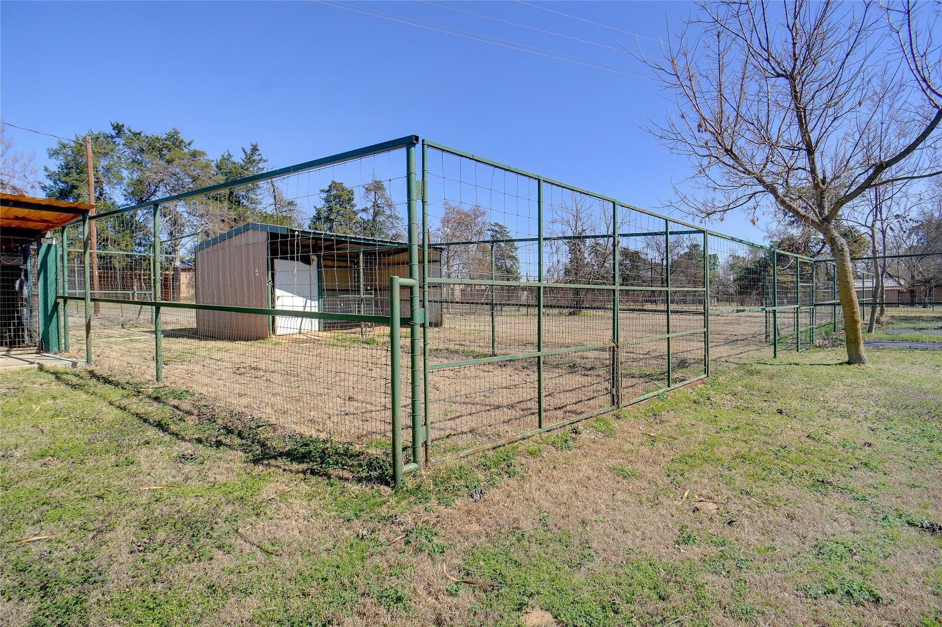 53.65 acres in Titus County - photo 10