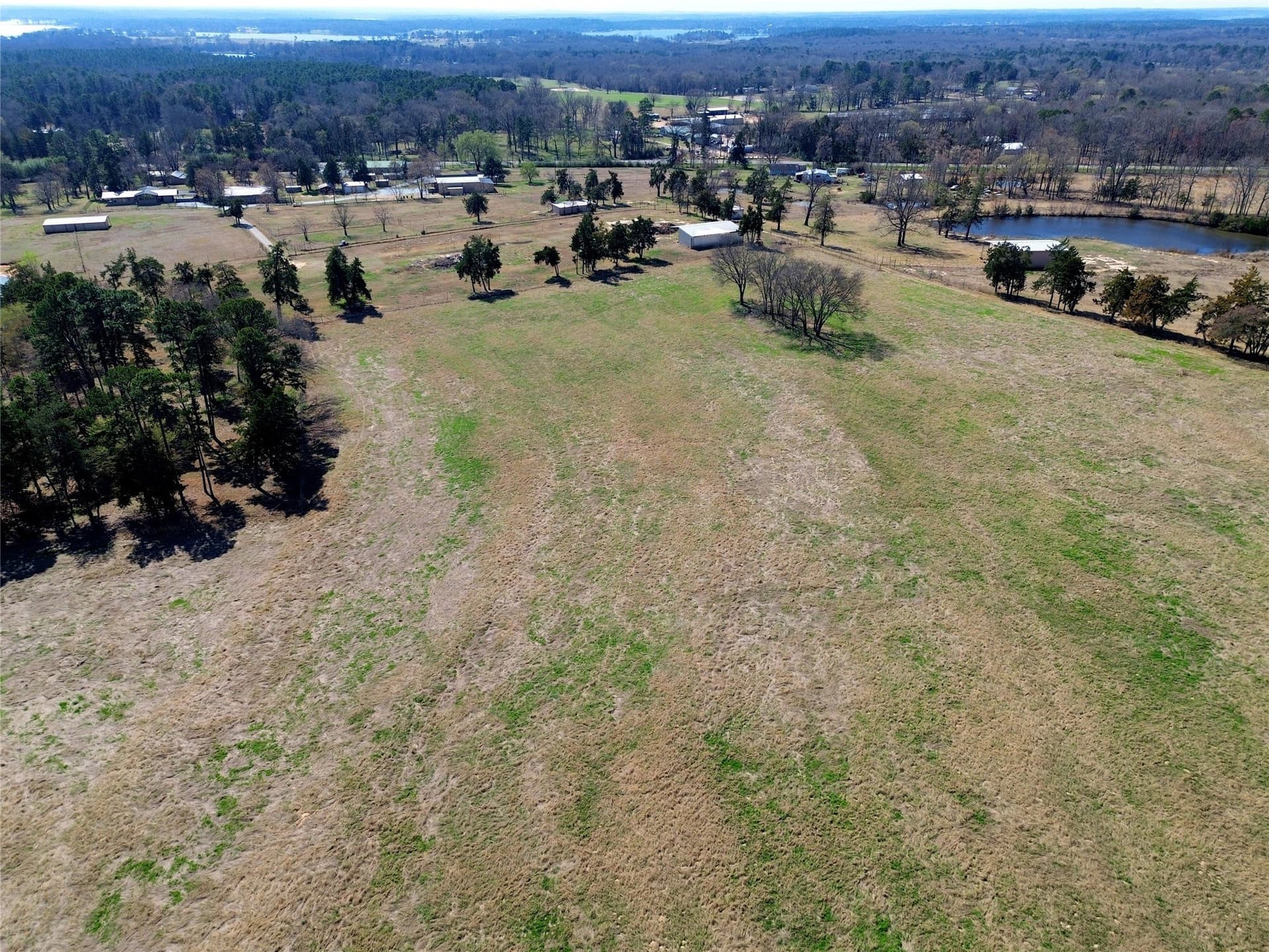 53.65 acres in Titus County - photo 31