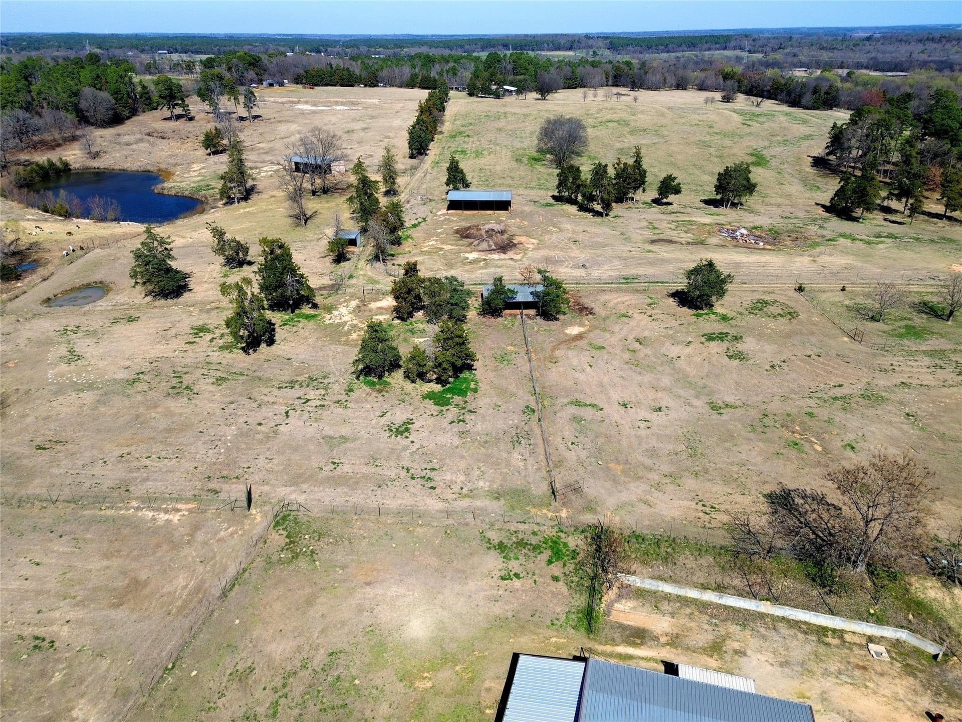 53.65 acres in Titus County - photo 28