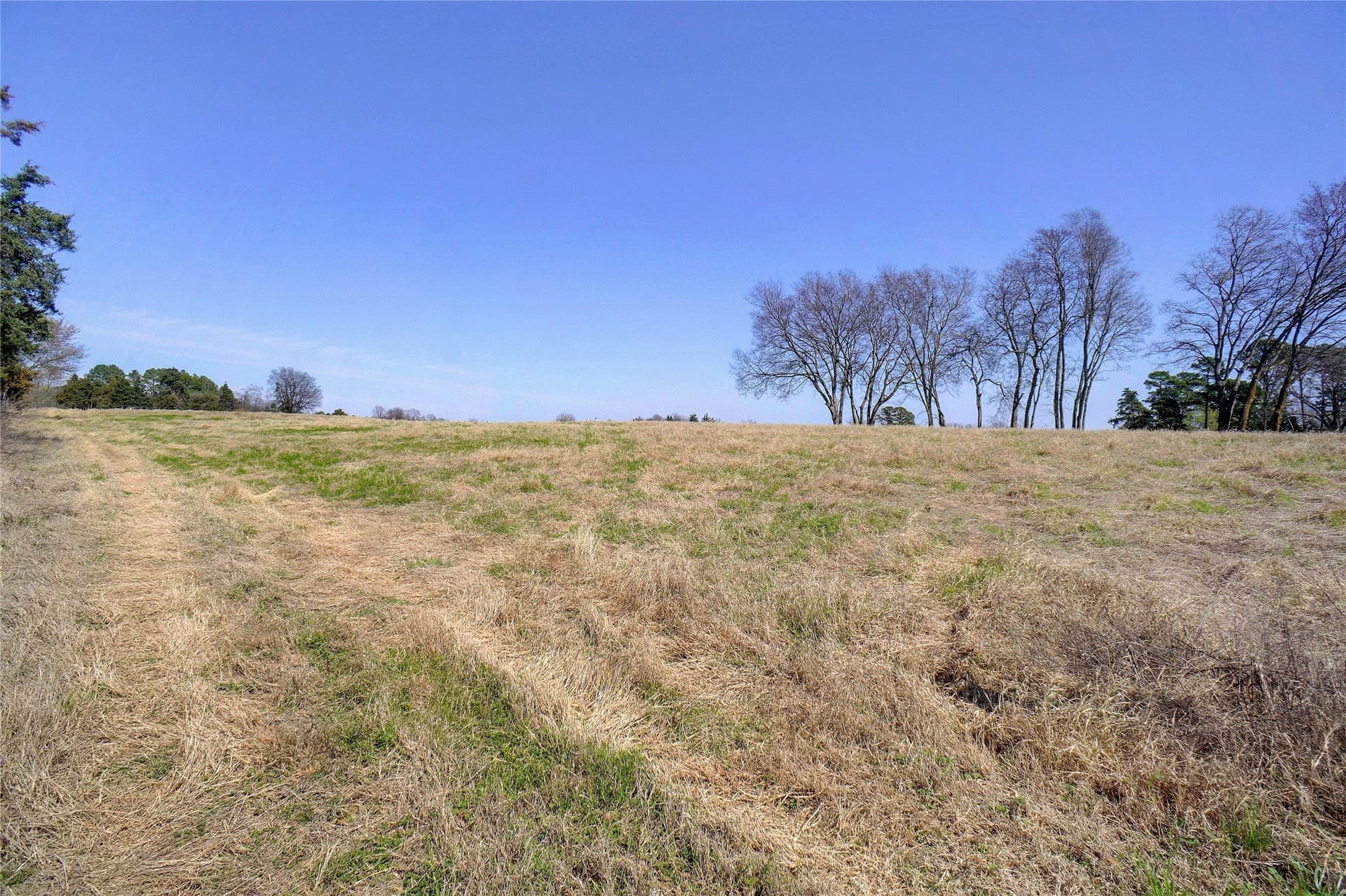 53.65 acres in Titus County - photo 23