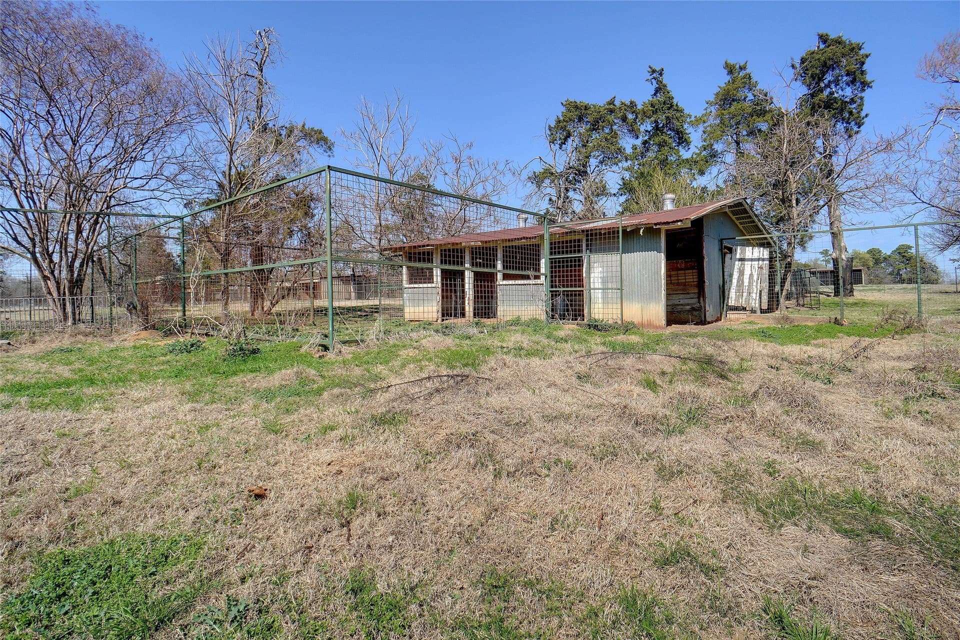 53.65 acres in Titus County - photo 17