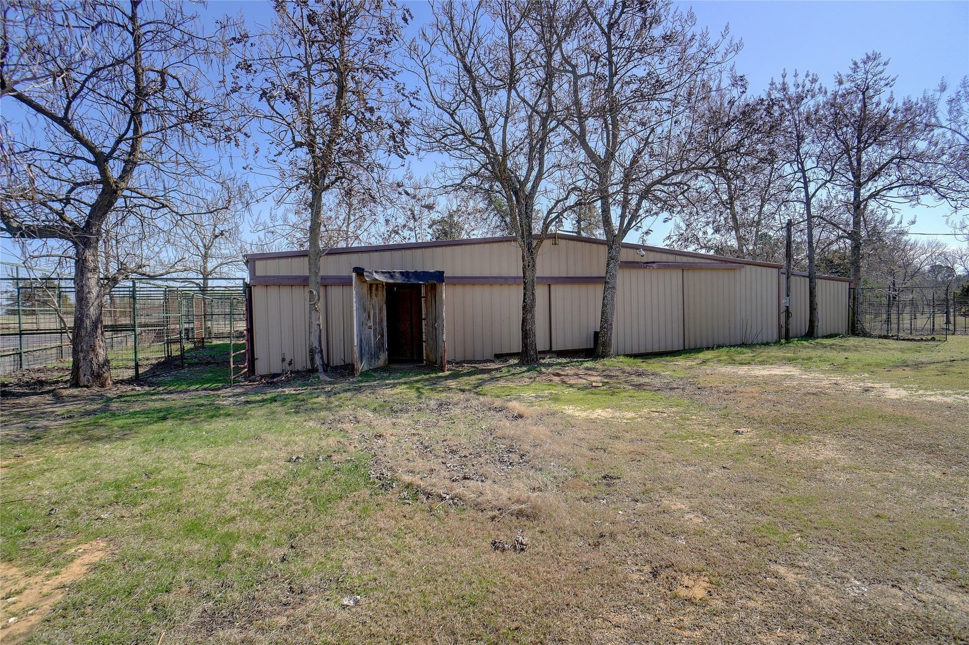 53.65 acres in Titus County - photo 14