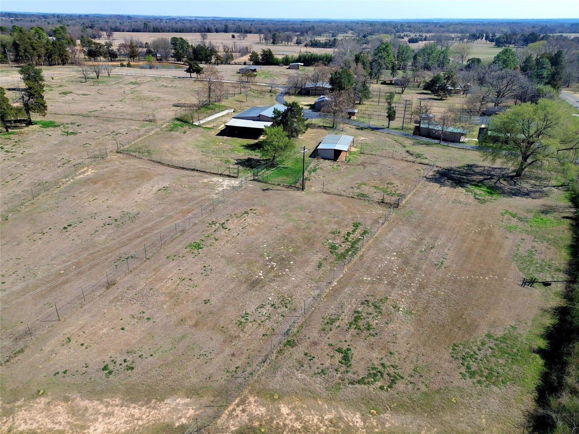 53.65 acres in Titus County - photo 29