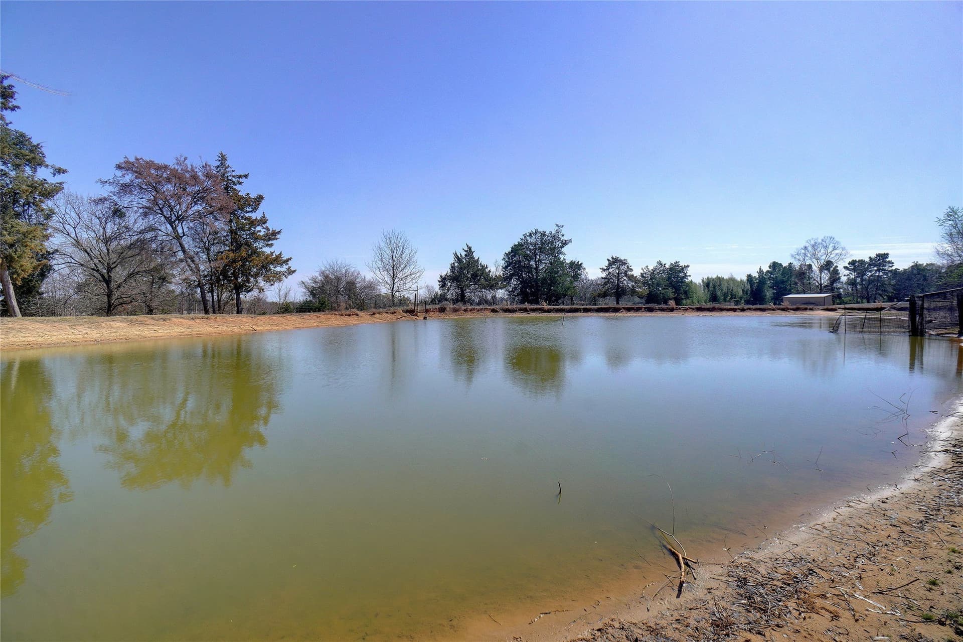 53.65 acres in Titus County - photo 20