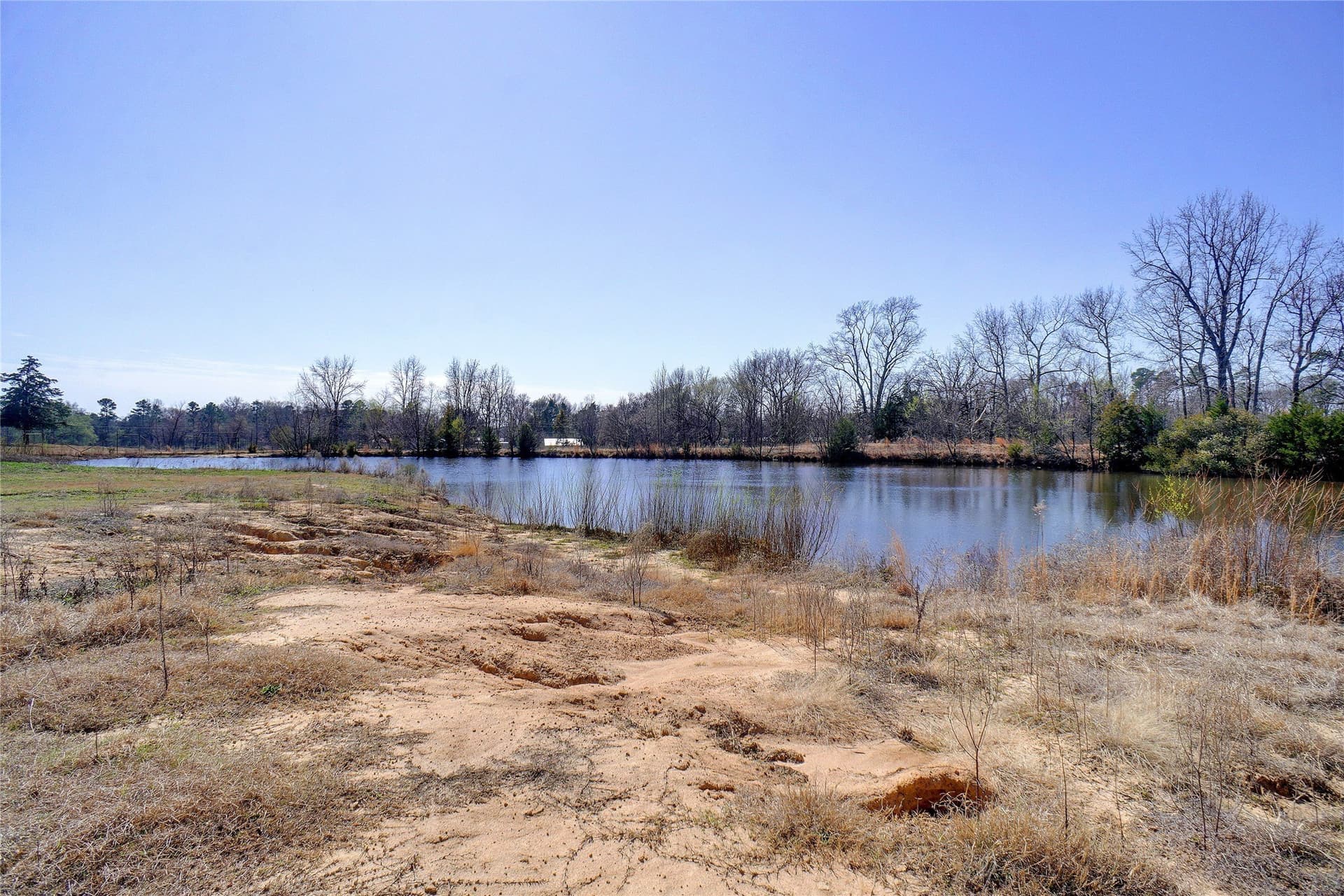 53.65 acres in Titus County - photo 25