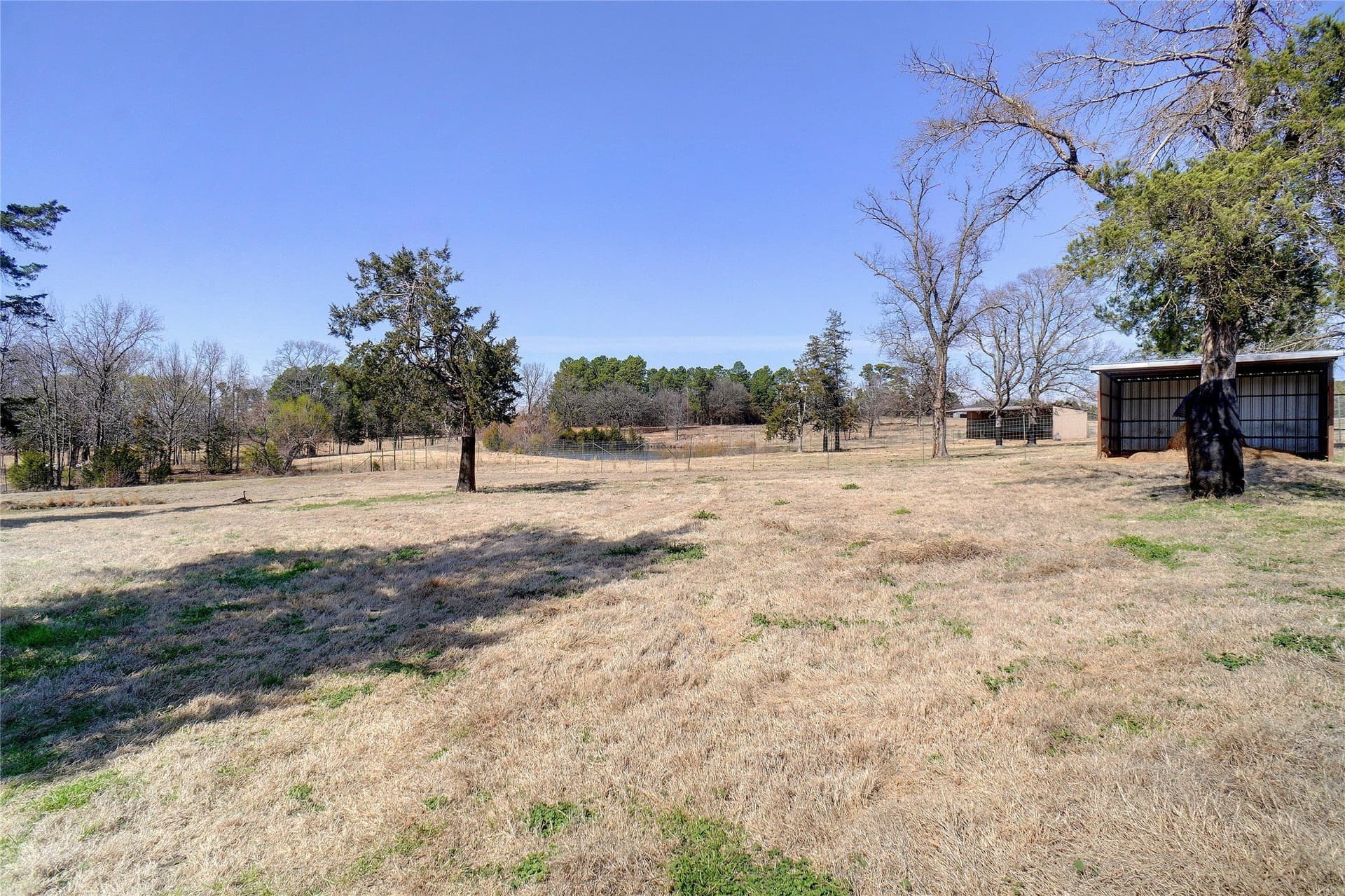 53.65 acres in Titus County - photo 22