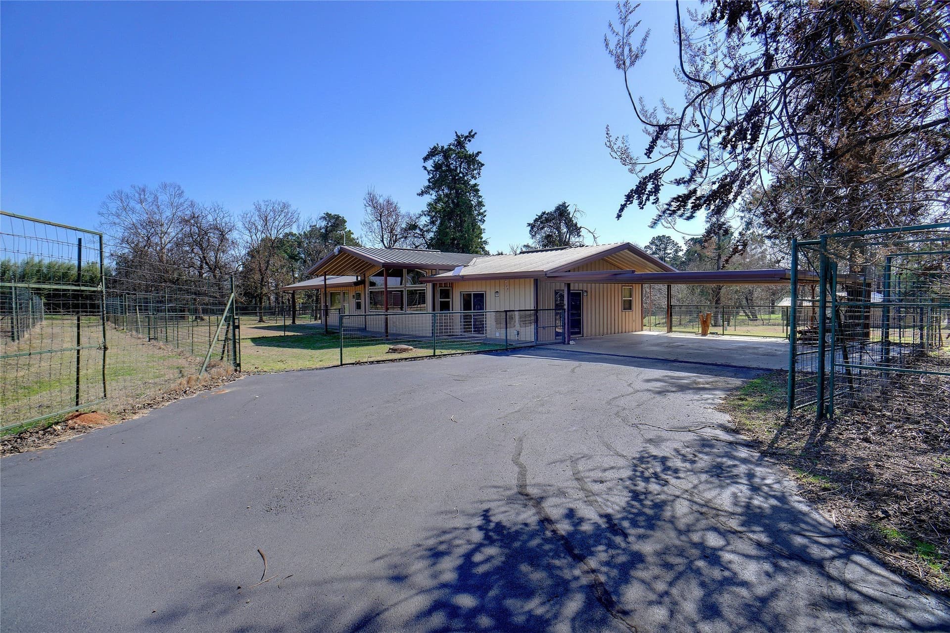 53.65 acres in Titus County - photo 18