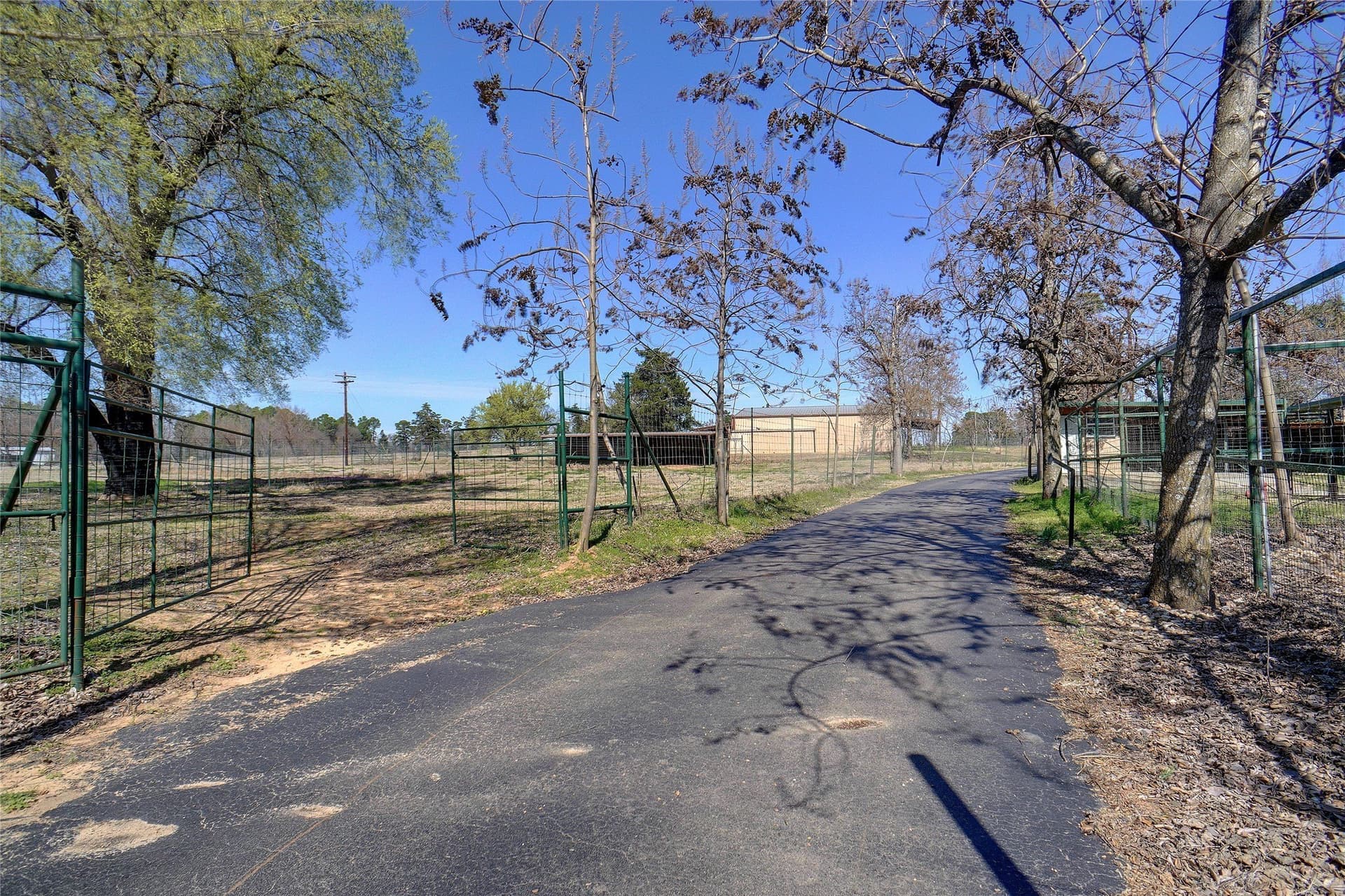 53.65 acres in Titus County - photo 11