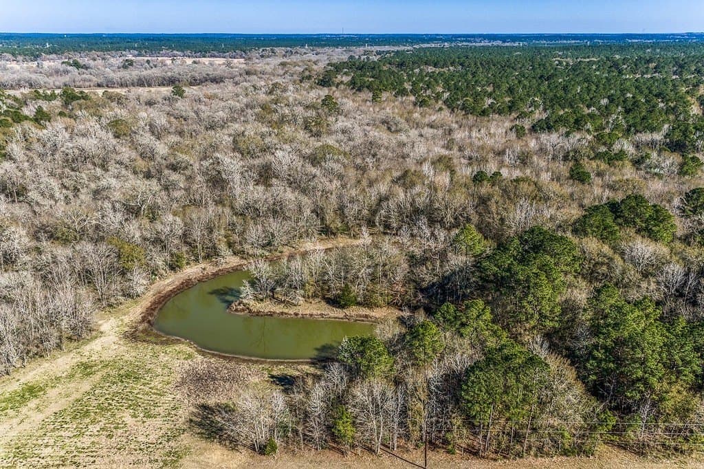 30.72 acres in Grimes County gallery image 4