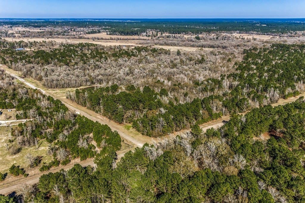 30.72 acres in Grimes County gallery image 3