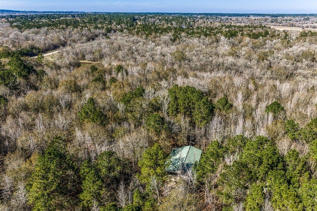 30.72 acres in Grimes County gallery image 2