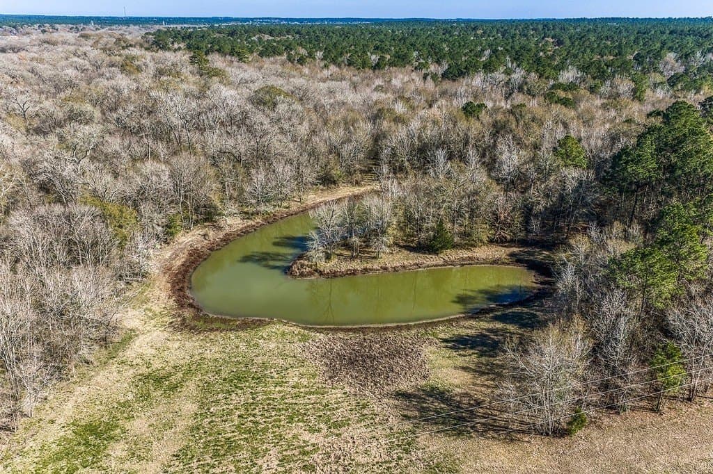 30.72 acres in Grimes County featured view