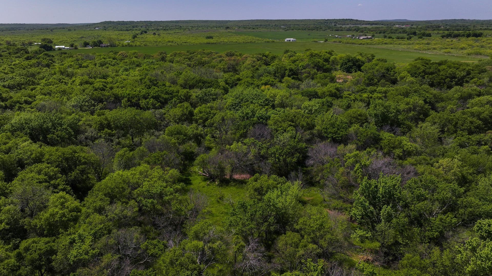 20 acres in Montague County - photo 15