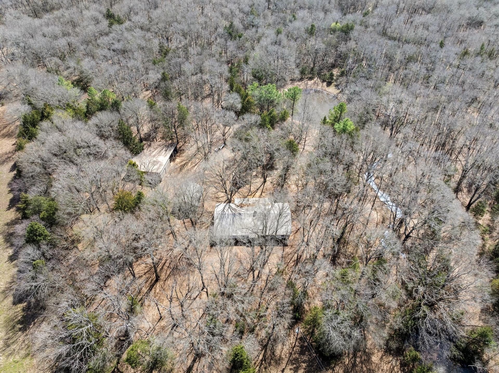 61.5 acres in Fannin County - photo 29