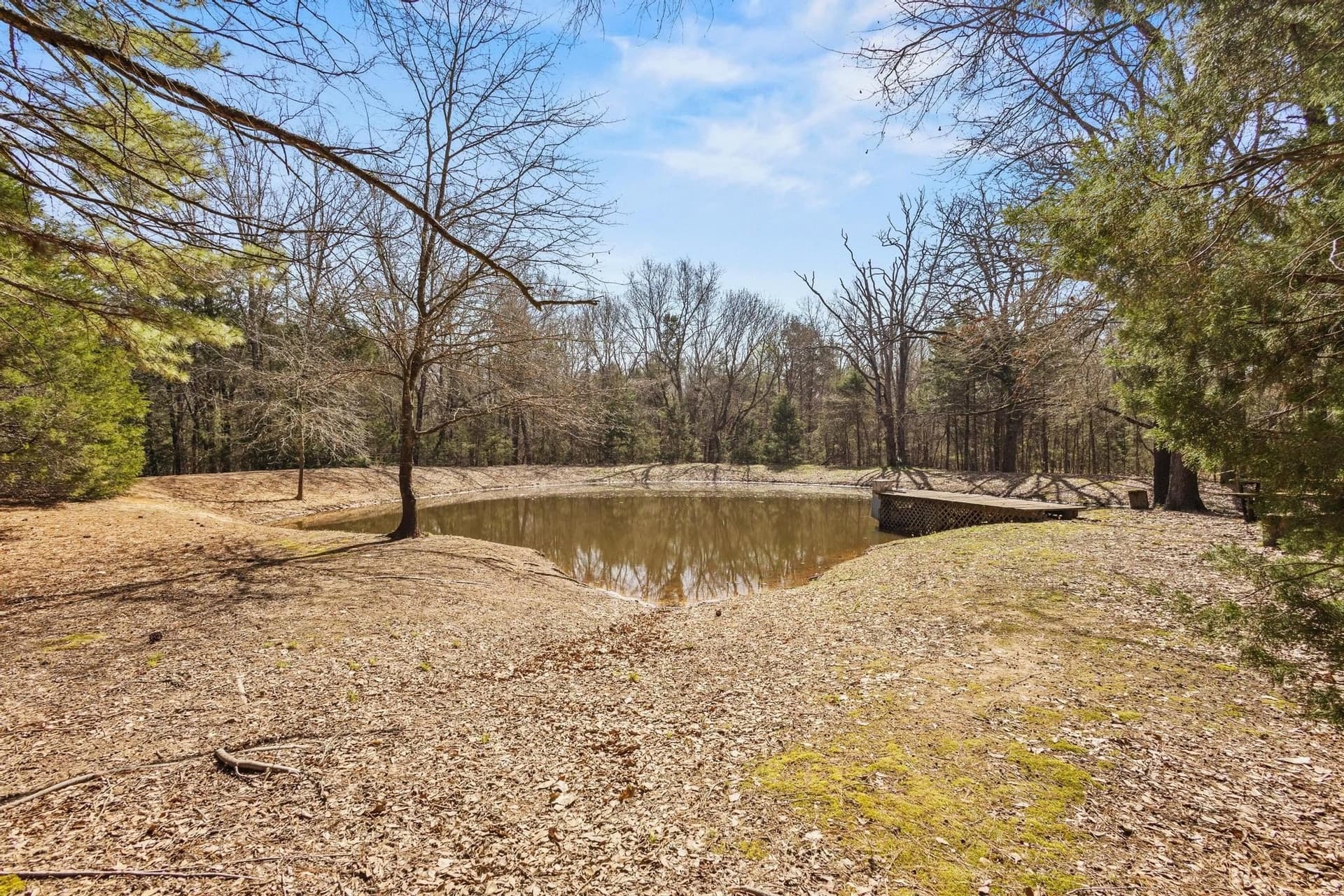 61.5 acres in Fannin County - photo 26