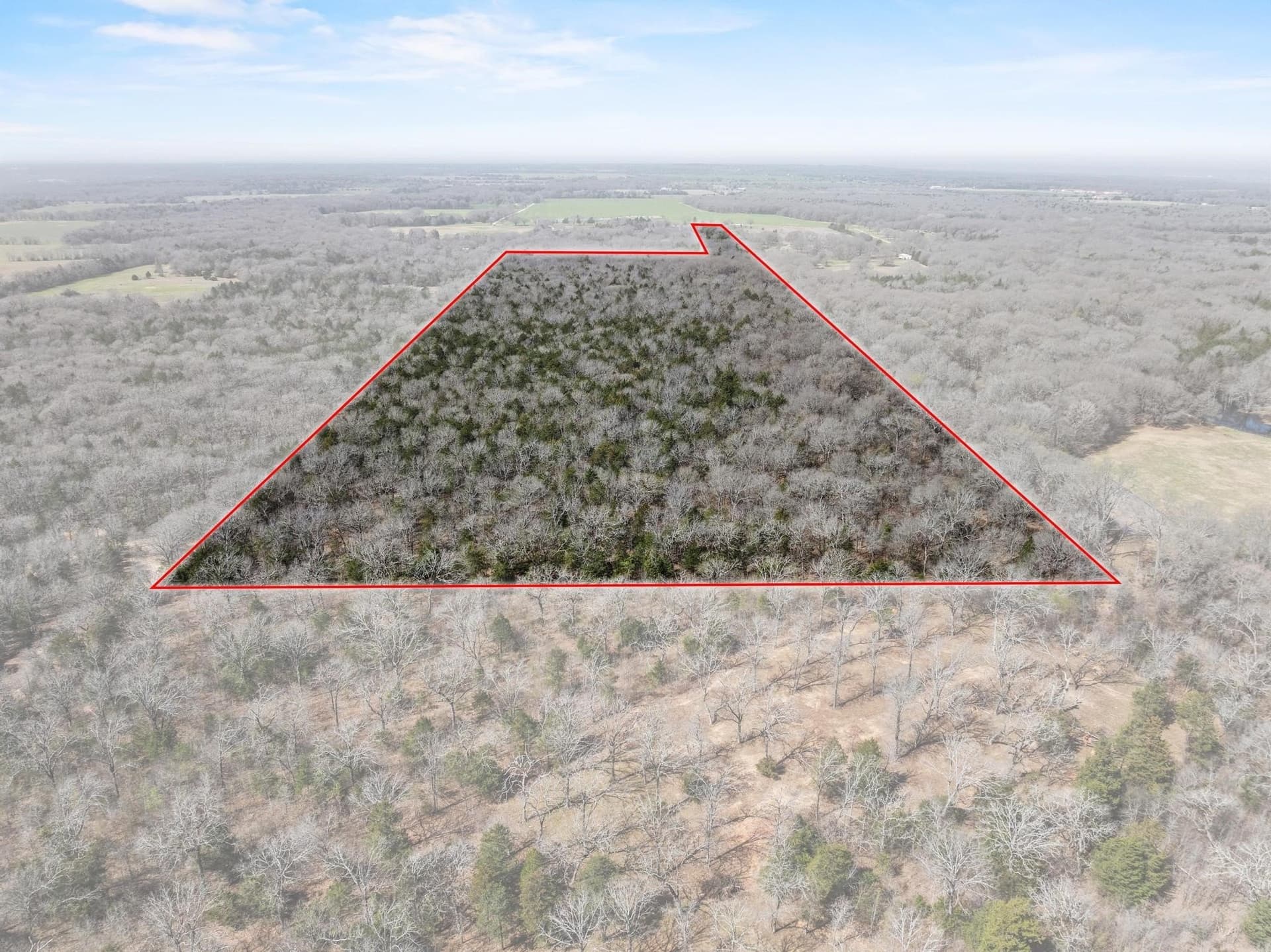 61.5 acres in Fannin County - photo 35