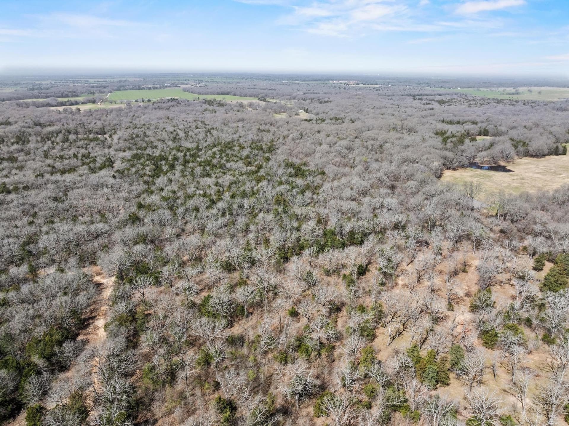 61.5 acres in Fannin County - photo 40
