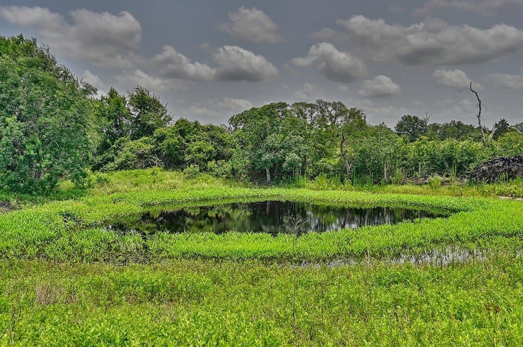 14.74 acres in Austin County - photo 7