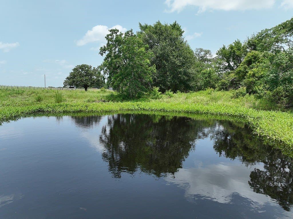 14.74 acres in Austin County - photo 9