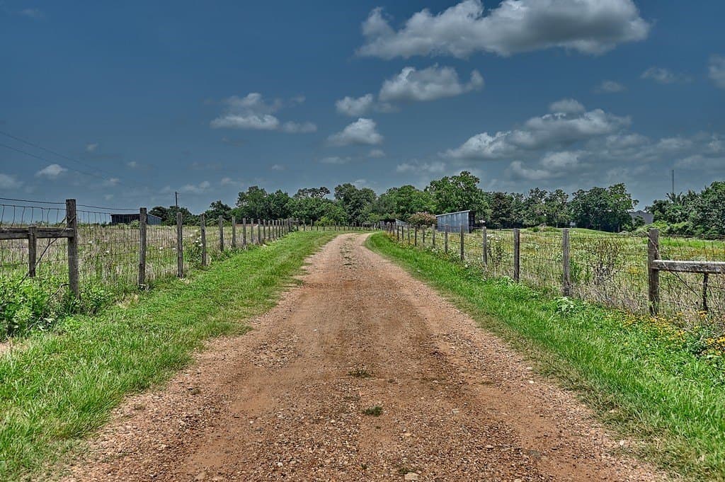14.74 acres in Austin County - photo 4