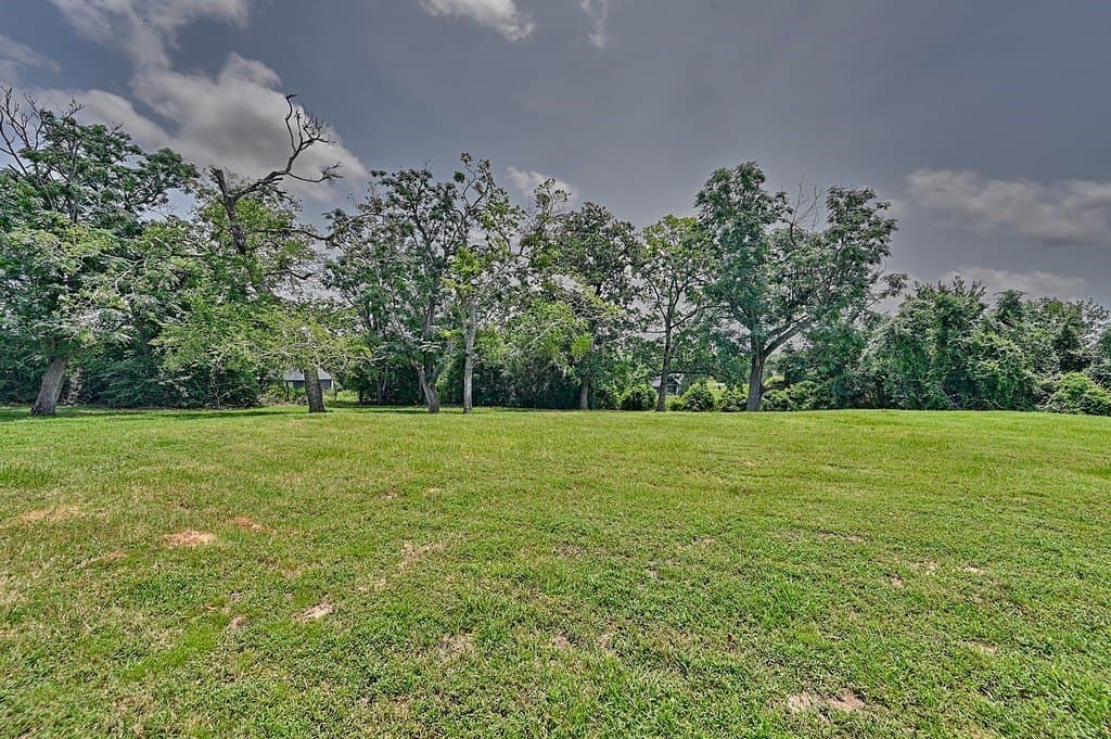 14.74 acres in Austin County - photo 8