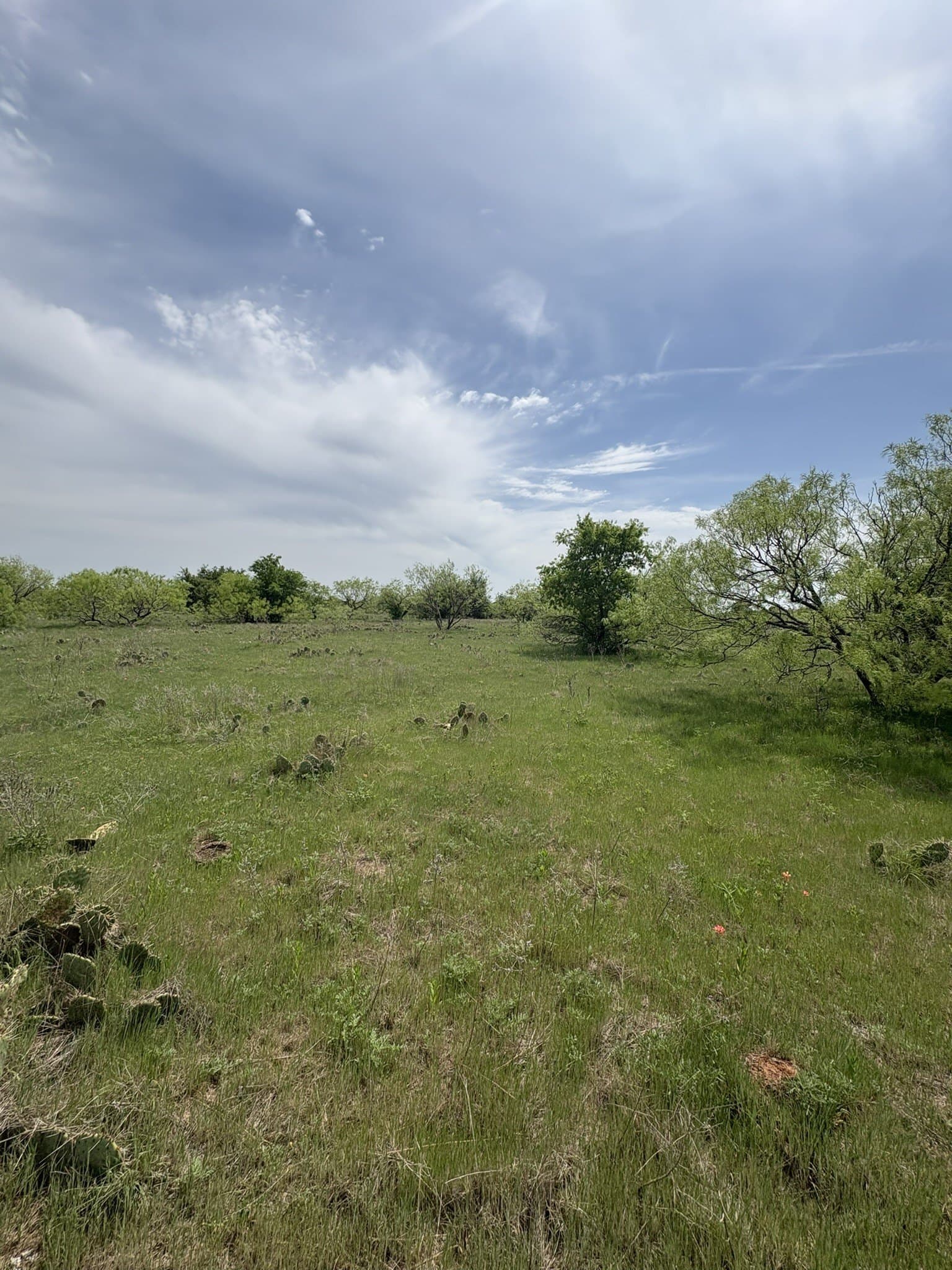 143.51 acres in Jack County - photo 9