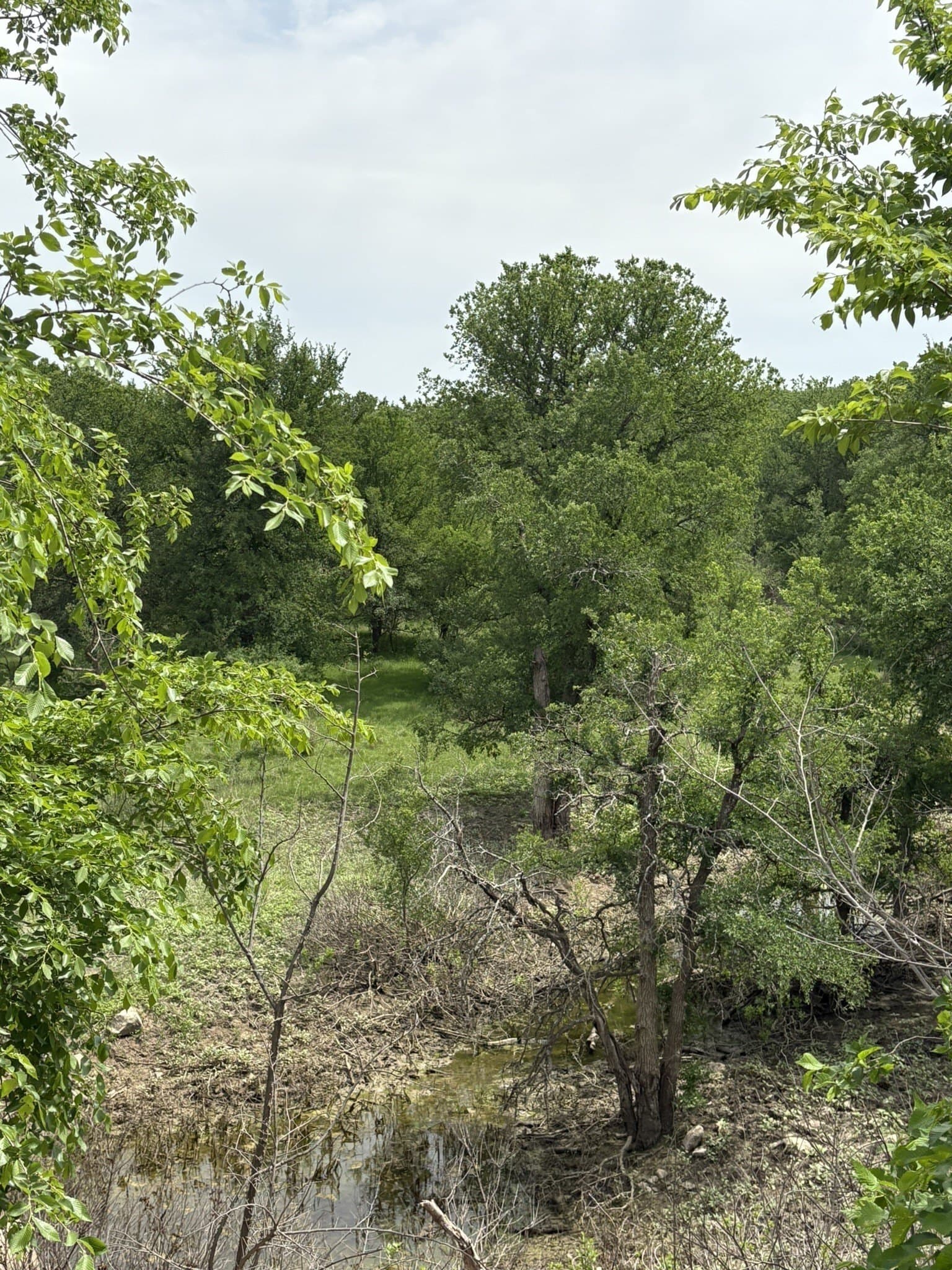 143.51 acres in Jack County gallery image 4