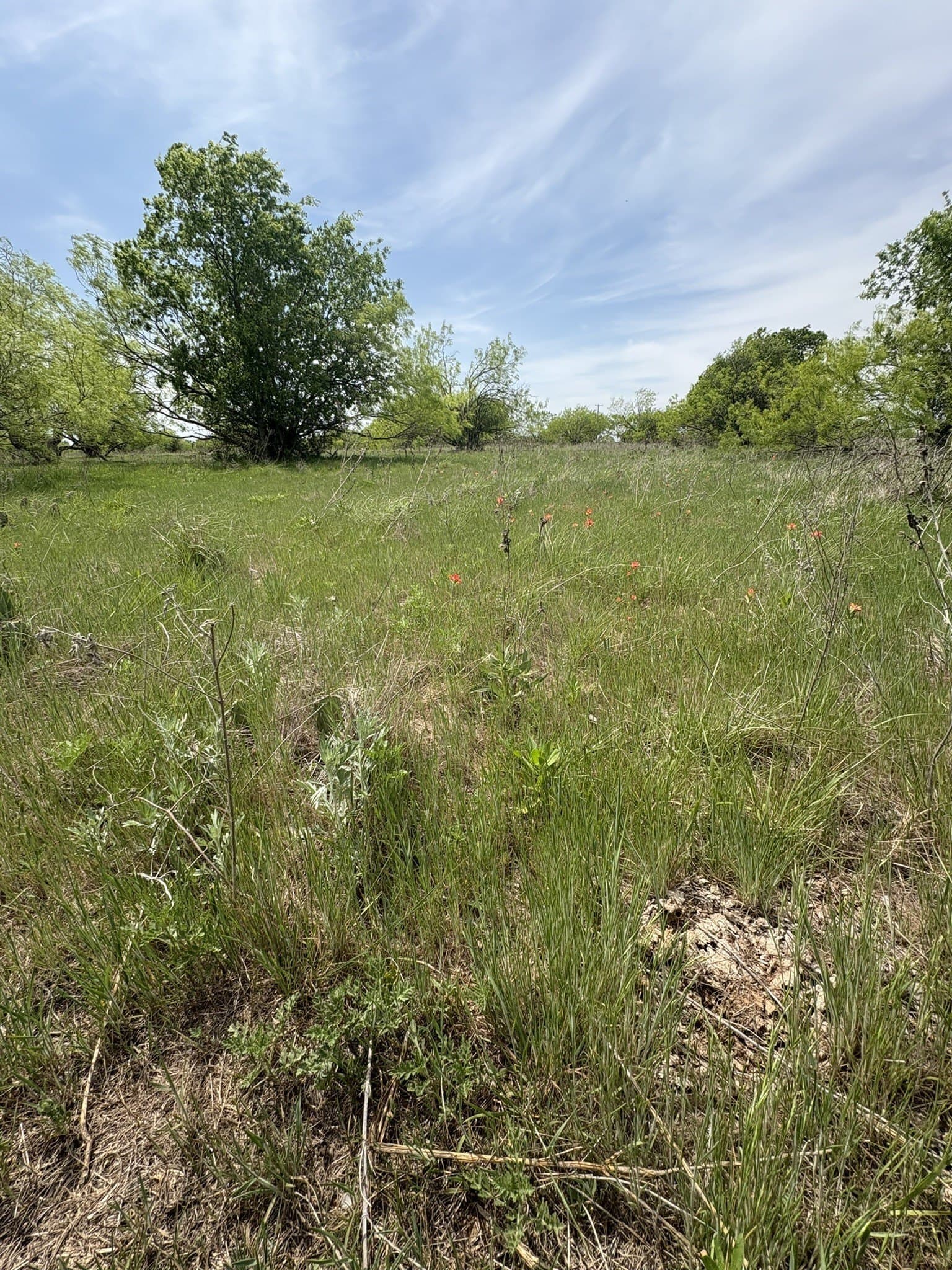 143.51 acres in Jack County - photo 6