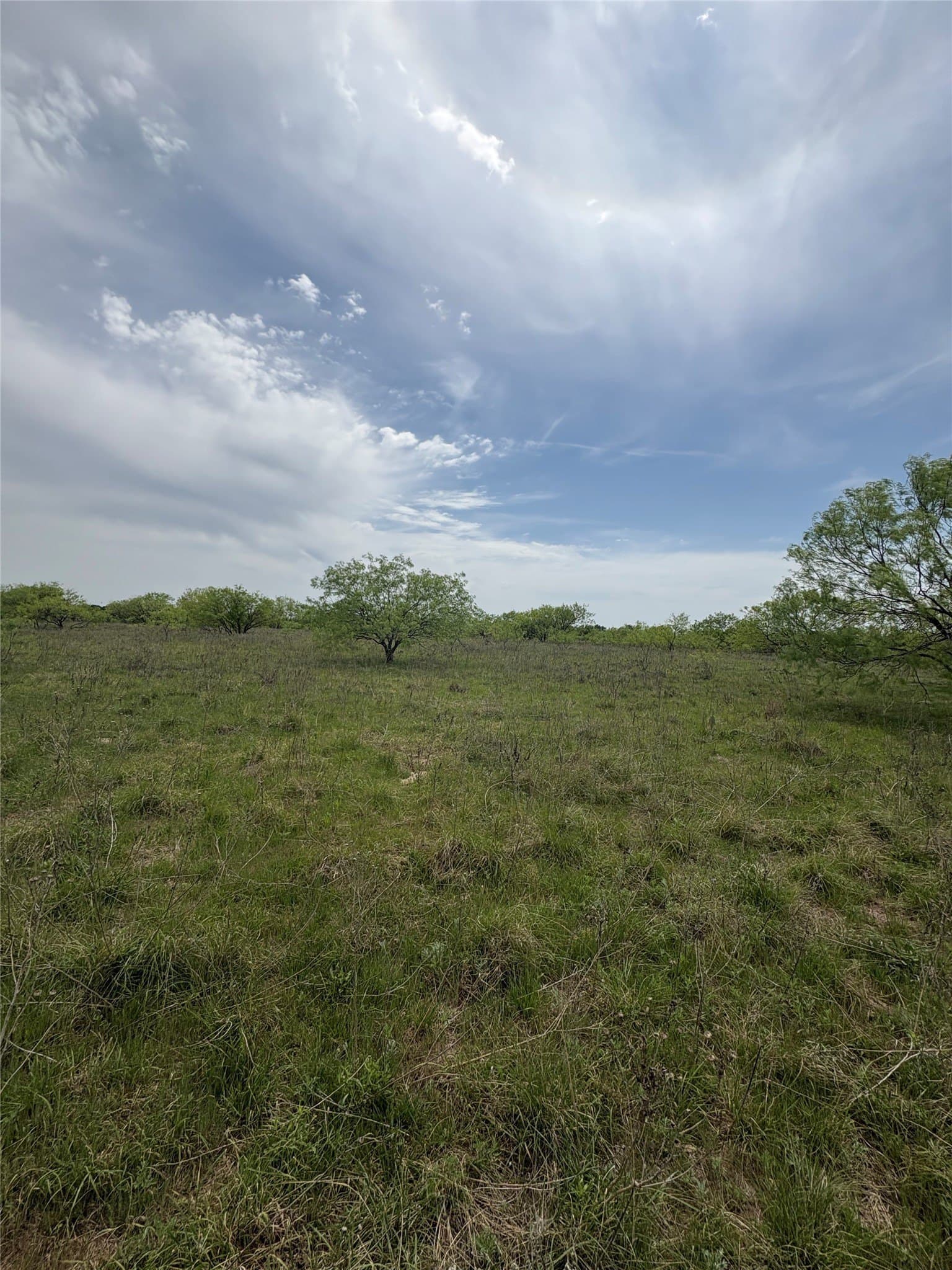 143.51 acres in Jack County - photo 13