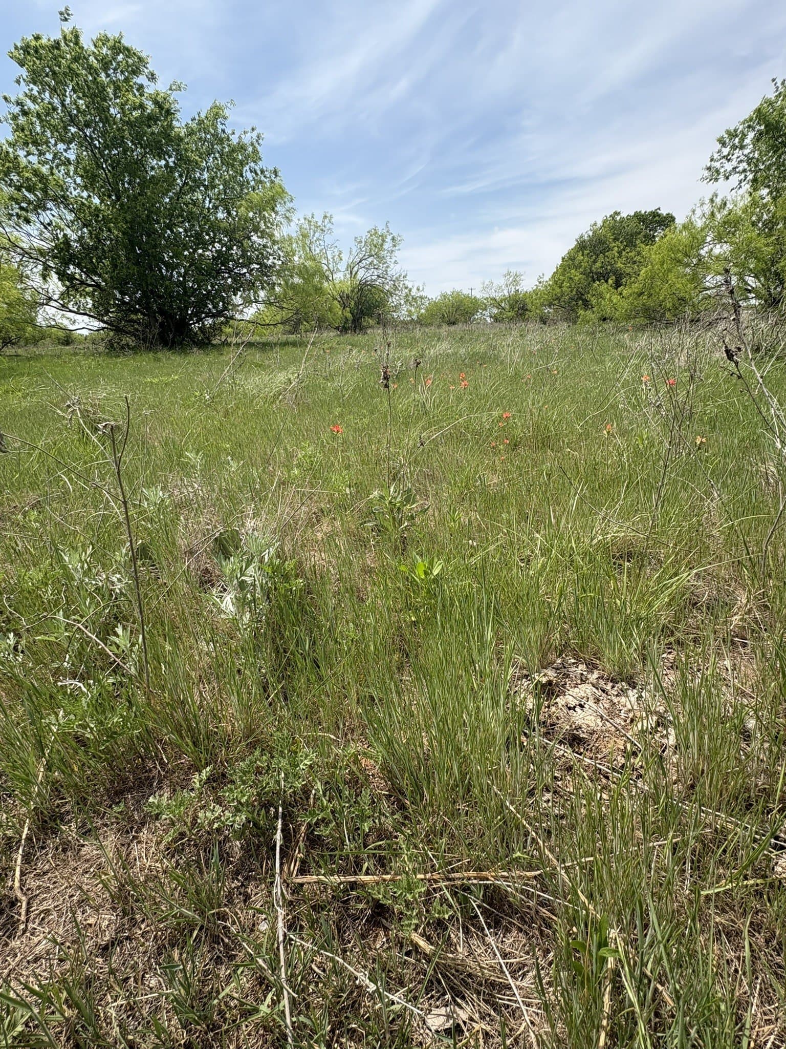 143.51 acres in Jack County gallery image 3