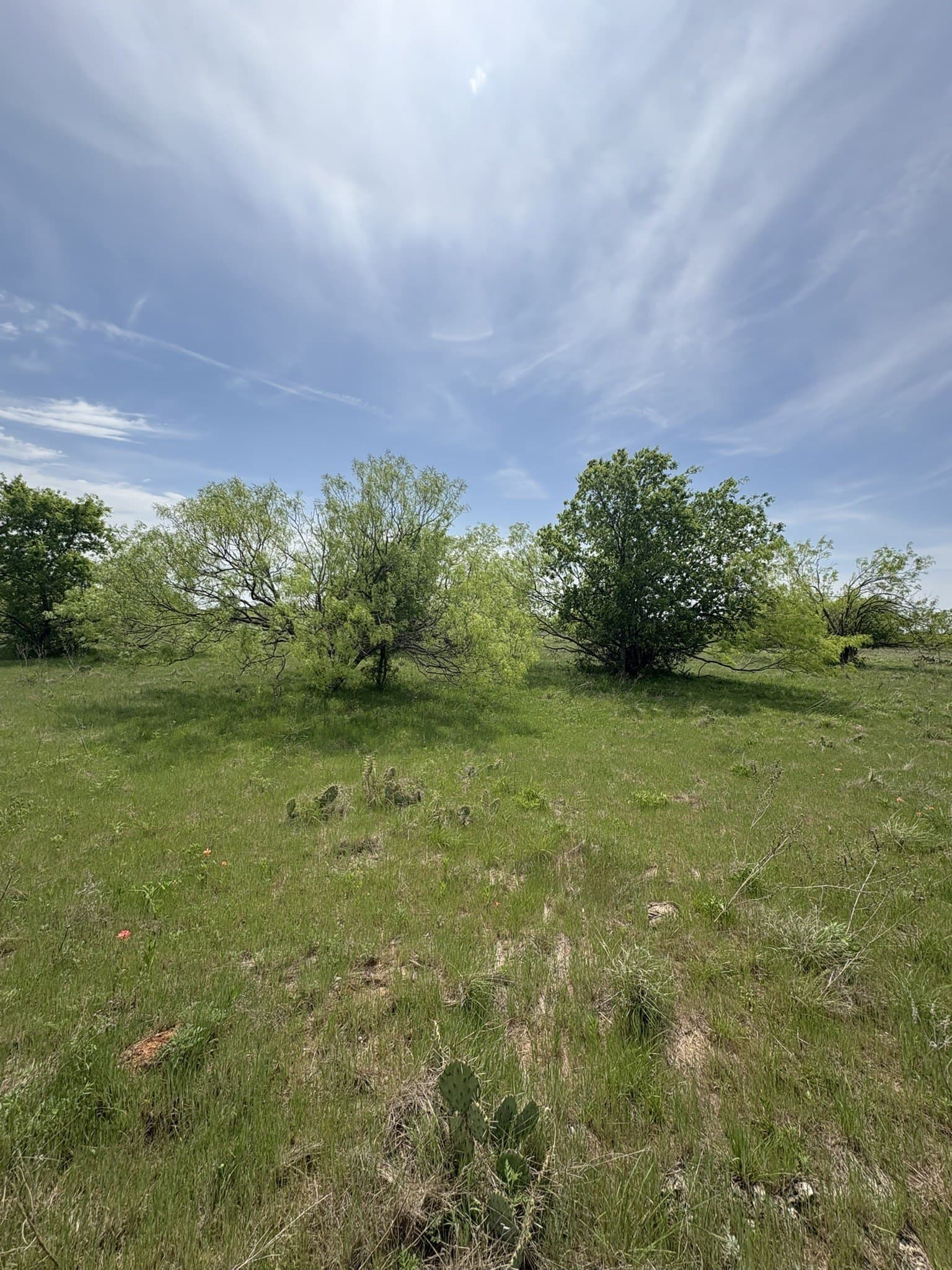 143.51 acres in Jack County featured view
