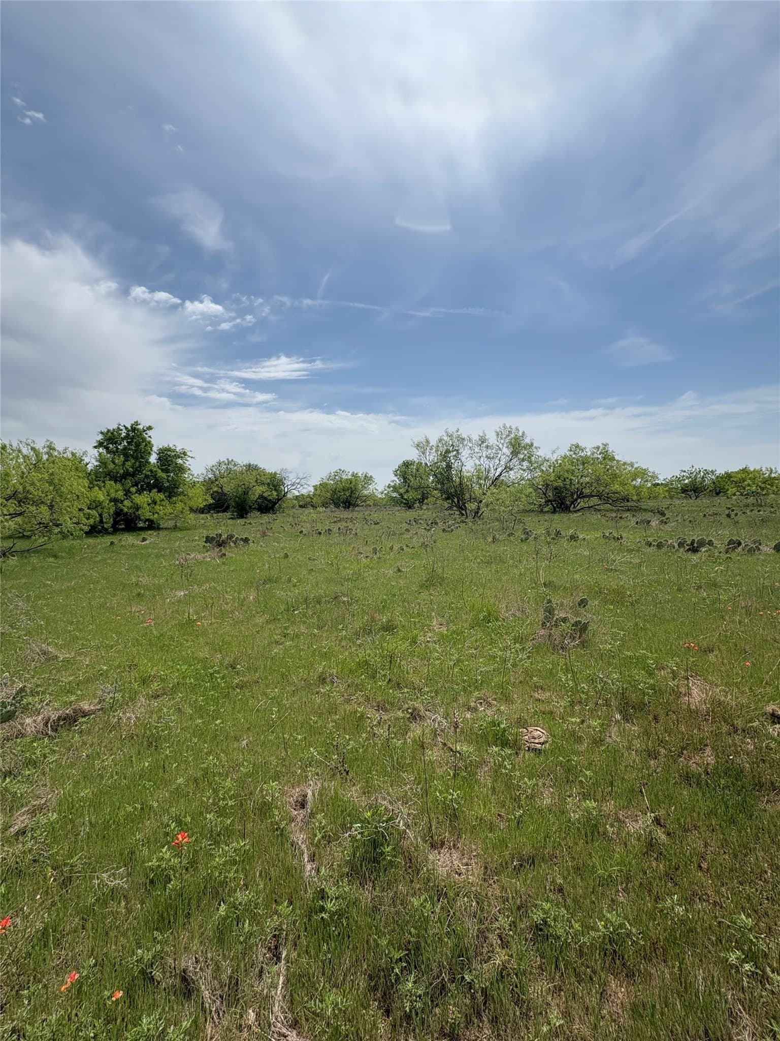 143.51 acres in Jack County - photo 12