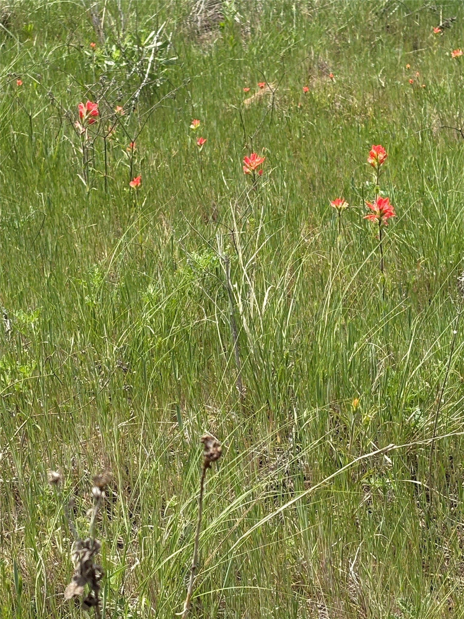 143.51 acres in Jack County - photo 11