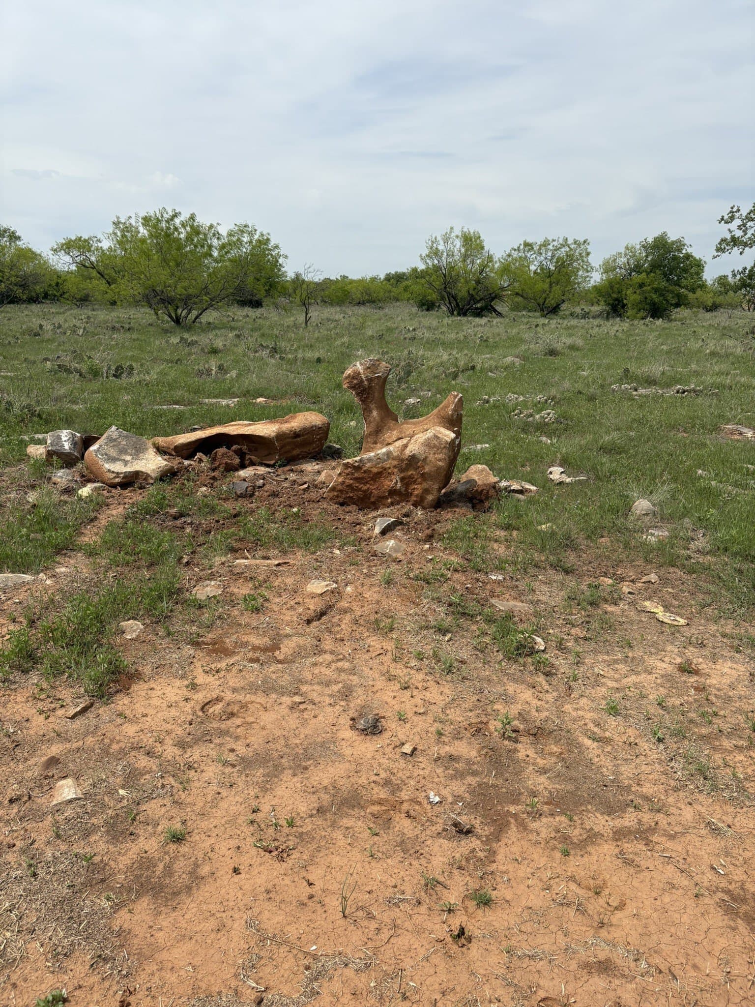 143.51 acres in Jack County - photo 8
