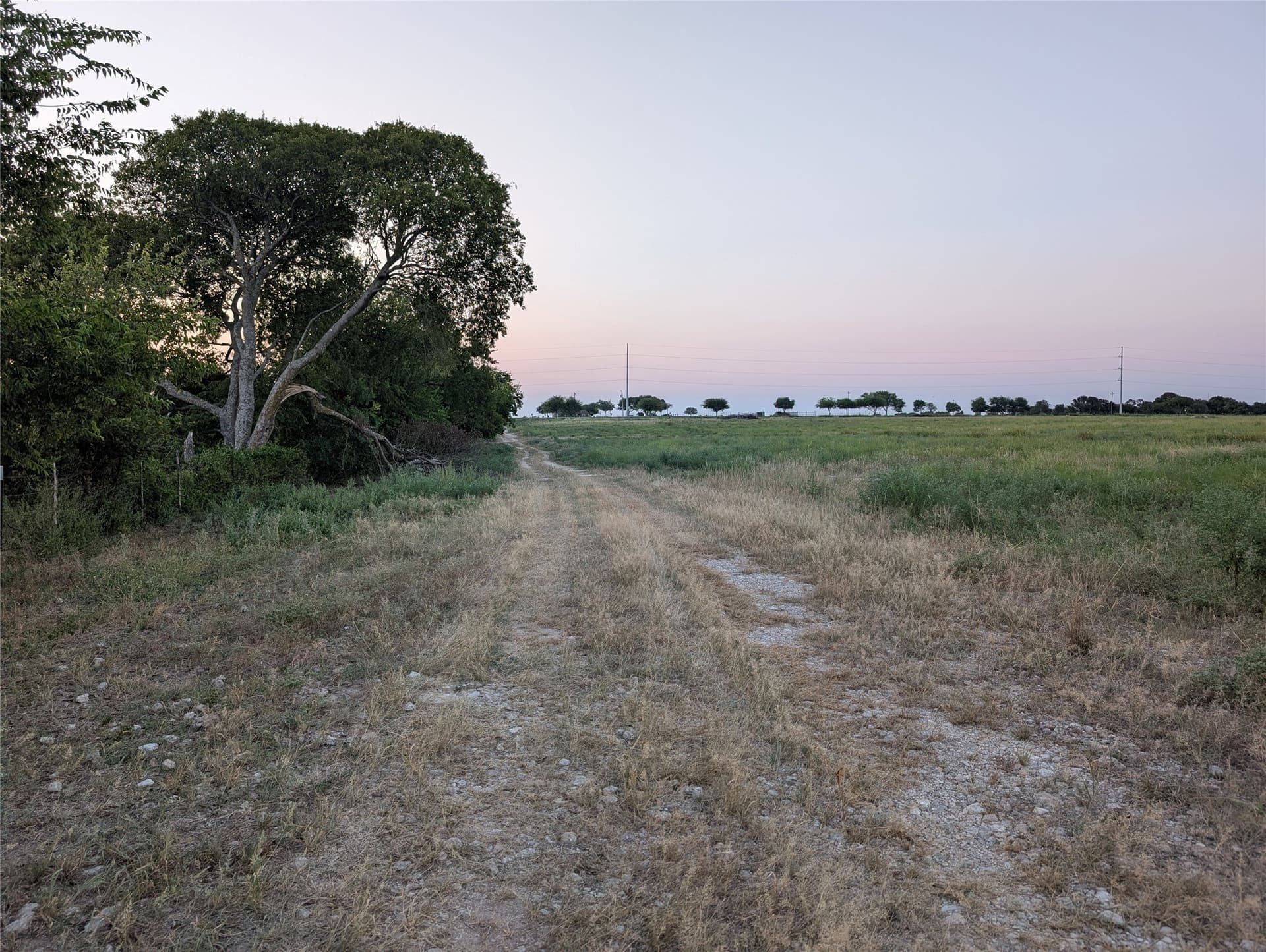 35.5 acres in Hill County gallery image 2