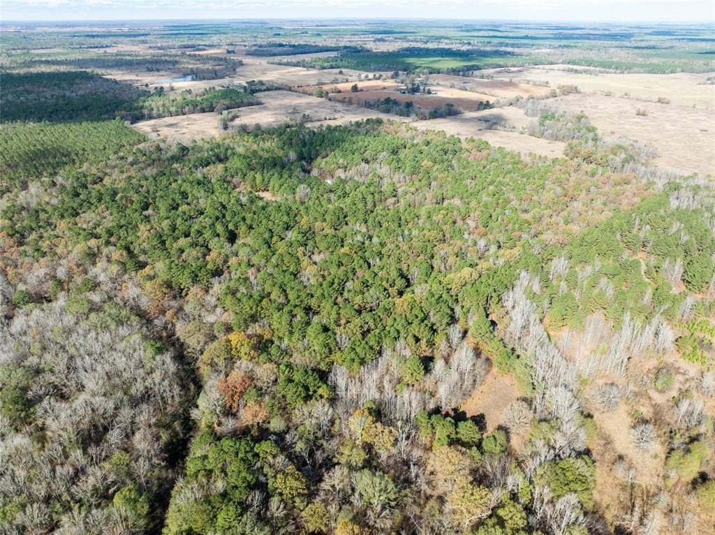 101 acres in Red River (TX) County gallery image 3