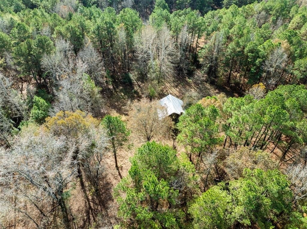 101 acres in Red River (TX) County featured view