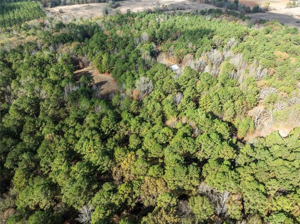 101 acres in Red River (TX) County gallery image 4