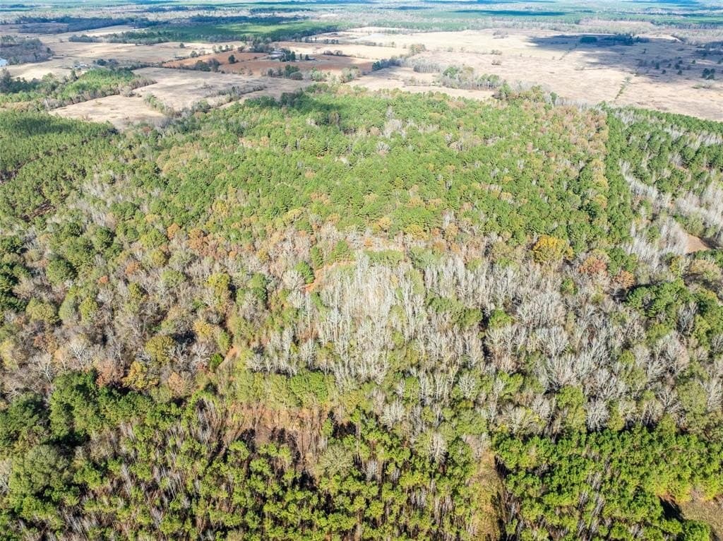 101 acres in Red River (TX) County gallery image 2