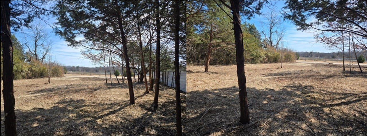 0.32 acres in Dallas County - photo 6