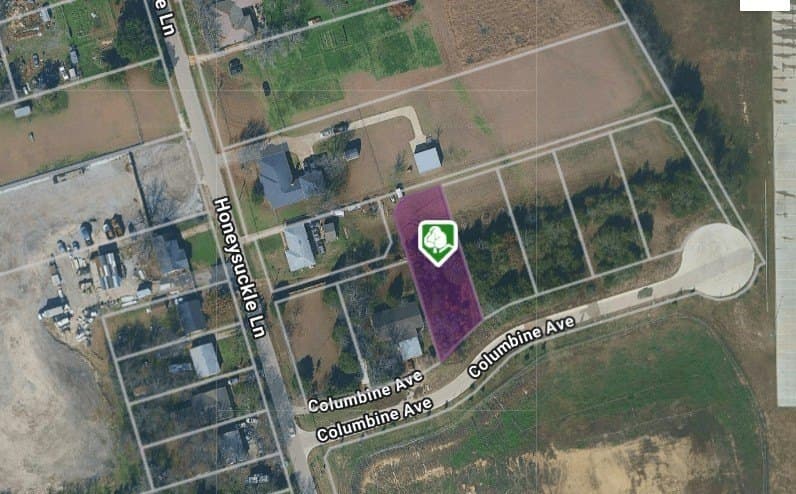 0.32 acres in Dallas County - photo 9